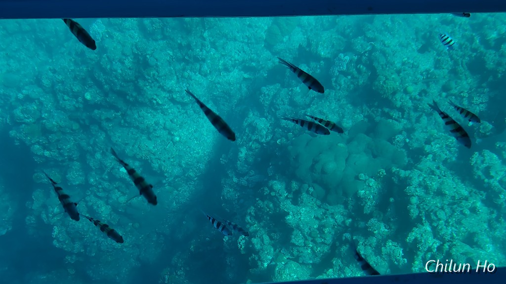 親慶原簡易郵便局